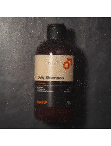 BEVIRO Přírodní šampon na vlasy pro každodenní použití 250 ml