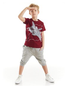 mshb&g Airplane Boy T-shirt Capri Shorts Set