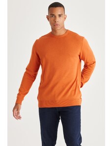 ALTINYILDIZ CLASSICS Men's Tile Standard Fit Regular Fit Crew Neck Cotton Knitwear Sweater