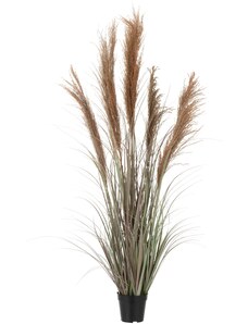 Umělá pampová tráva J-line Renbas 147 cm