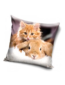 Carbotex Povlak na polštářek 40x40 cm - Rezavé koťátko s králíčkem
