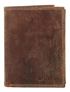 Pánská kožená peněženka na výšku Bellugio Theoo, tmavě hnědá