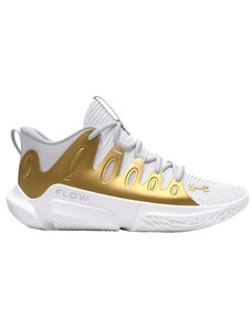 Basketbalové boty Under Armour UA W FLOW BREAKTHRU 4 3026641-113