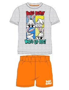 Looney Tunes - licence Chlapecké pyžamo - Looney Tunes 5204582, šedý melír / červená
