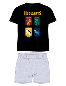 Harry Poter - licence Chlapecké pyžamo - Harry Potter 5204484, černá / světle šedý melír