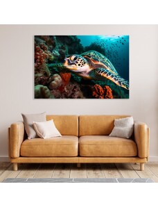 Obraz na plátně - mořská želva u korálového útesu FeelHappy.cz