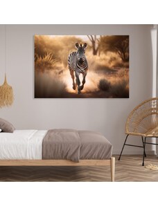 Obraz na plátně - Zebra v divoké přírodě FeelHappy.cz