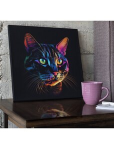 Obraz na plátně - barevná kočka FeelHappy.cz