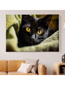 Obraz na plátně - Najdi kočku, černá kočka v zelené dece FeelHappy.cz