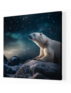 Obraz na plátně - Lední medvěd leží na skále za hvězdné noci FeelHappy.cz