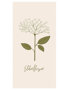 IB LAURSEN Papírové ubrousky Elderflower – 16 ks