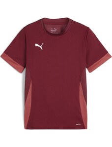 Dres Puma teamGOAL Matchday Jersey jr 705748-09