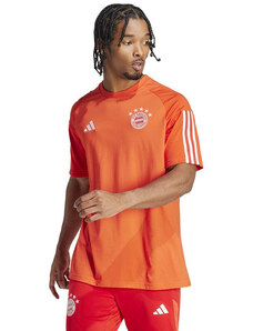 Adidas FC Bayern CO Tee M IQ0601
