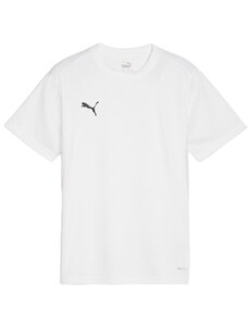 Triko Puma teamGOAL T-Shirt 658636-04