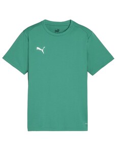 Triko Puma teamGOAL T-Shirt 658637-05