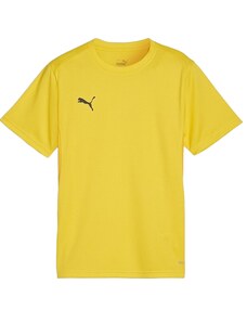 Triko Puma teamGOAL T-Shirt 658637-07
