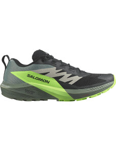 Salomon SENSE RIDE 5 Black / Laurel Wreath / Green Gecko