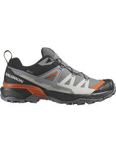 Salomon X ULTRA 360 GORE-TEX Quiet Shade / Black / Spice Route