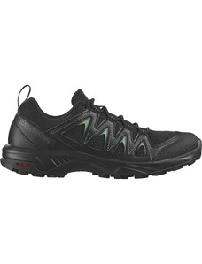 Salomon X BRAZE Black / Black / Laurel Wreath