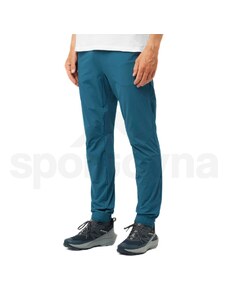 Salomon Wayfarer Ease Pants M LC2209800 - deep dive