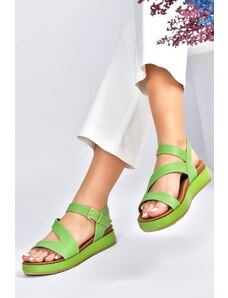 Fox Shoes Green Women's Daily Sandals