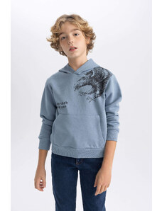 DEFACTO Boy Printed Hooded Thick Sweatshirt