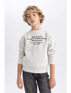DEFACTO Boy Printed Crew Neck Thick Sweatshirt