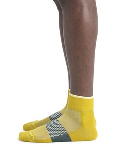 Pánské merino ponožky ICEBREAKER Mens Multisport Light Mini, Lux/Lucid/Fathom Green velikost: 42-44 (M)