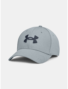 Pánská kšiltovka Under Armour