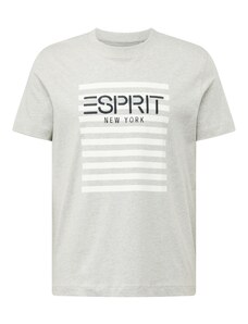ESPRIT Tričko světle šedá / černá / bílá