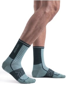 Pánské merino ponožky ICEBREAKER Mens Merino Run+ Ultralight Crew, Cloud Ray/Fathom Green velikost: 42-44 (M)