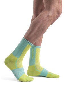 Pánské merino ponožky ICEBREAKER Mens Merino Run+ Ultralight Crew, Hyper/Aura velikost: 44,5-46,5 (L)