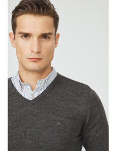 Avva Men's Anthracite Knitwear Sweater V-Neck Non-Pilling Regular Fit