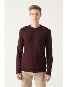 Avva Men's Burgundy Crew Neck Front Textured Regular Fit Knitwear Sweater