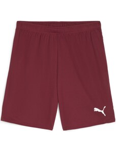 Šortky Puma teamGOAL Shorts 705752-09