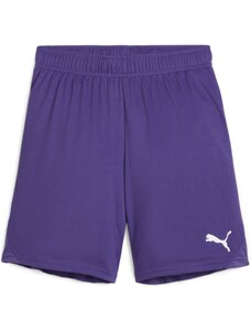 Šortky Puma teamGOAL Shorts Jr 705753-10