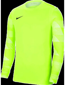 Dětský brankářský dres Nike Dry Park IV LS GK zelený