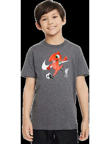 Dětské tričko Nike Liverpool FC 23/24 Mascot Tee šedé