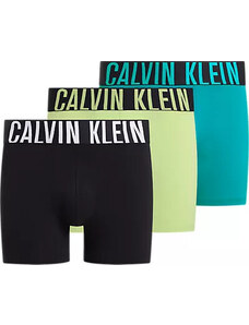 Pánské spodní prádlo BOXER BRIEF 3PK 000NB3609AOG5 - Calvin Klein