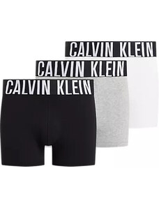 Pánské spodní prádlo TRUNK 3PK 000NB3608AMPI - Calvin Klein