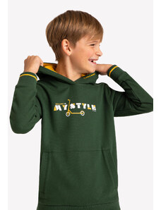 Volcano Regular Hoodie B-Style Junior B01434-S22 Green