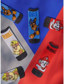 Sinsay - Sada 3 párů ponožek PAW Patrol - vícebarevná