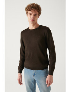Avva Men's Brown Crew Neck Wool Blend Standard Fit Regular Cut Knitwear Sweater