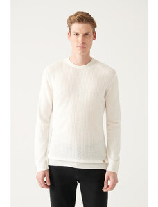 Avva Men's White Crew Neck Front Textured Regular Fit Knitwear Sweater