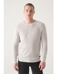 Avva Men's Light Gray Crew Neck Textured Cotton Standard Fit Regular Cut Knitwear Sweater