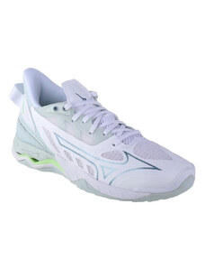 Boty Mizuno Wave Mirage 5 M X1GB235035