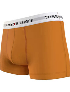 Pánské boxerky 3P TRUNK UM0UM027610XR - Tommy Hilfiger