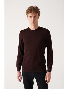 Avva Men's Burgundy Crew Neck Wool Blended Standard Fit Normal Cut Knitwear Sweater