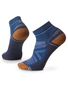 Hike Light Cushion Ankle Smartwool