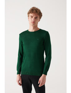 Avva Men's Green Crew Neck Wool Blend Standard Fit Regular Cut Knitwear Sweater